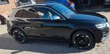 Audi SQ5 3.0 TFSI tiptronic quattro - - Audi SQ5 von privat