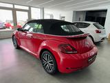 Volkswagen Beetle 1.2 TSI Cabriolet Sound*Navi*Bi-Xenon* - gebrauchte VW Beetle aus dem Jahr 2017