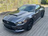 Ford Mustang 3.7  Autom - Rück Kamera - Gasanlage - Ford Gebrauchtwagen in Recklinghausen
