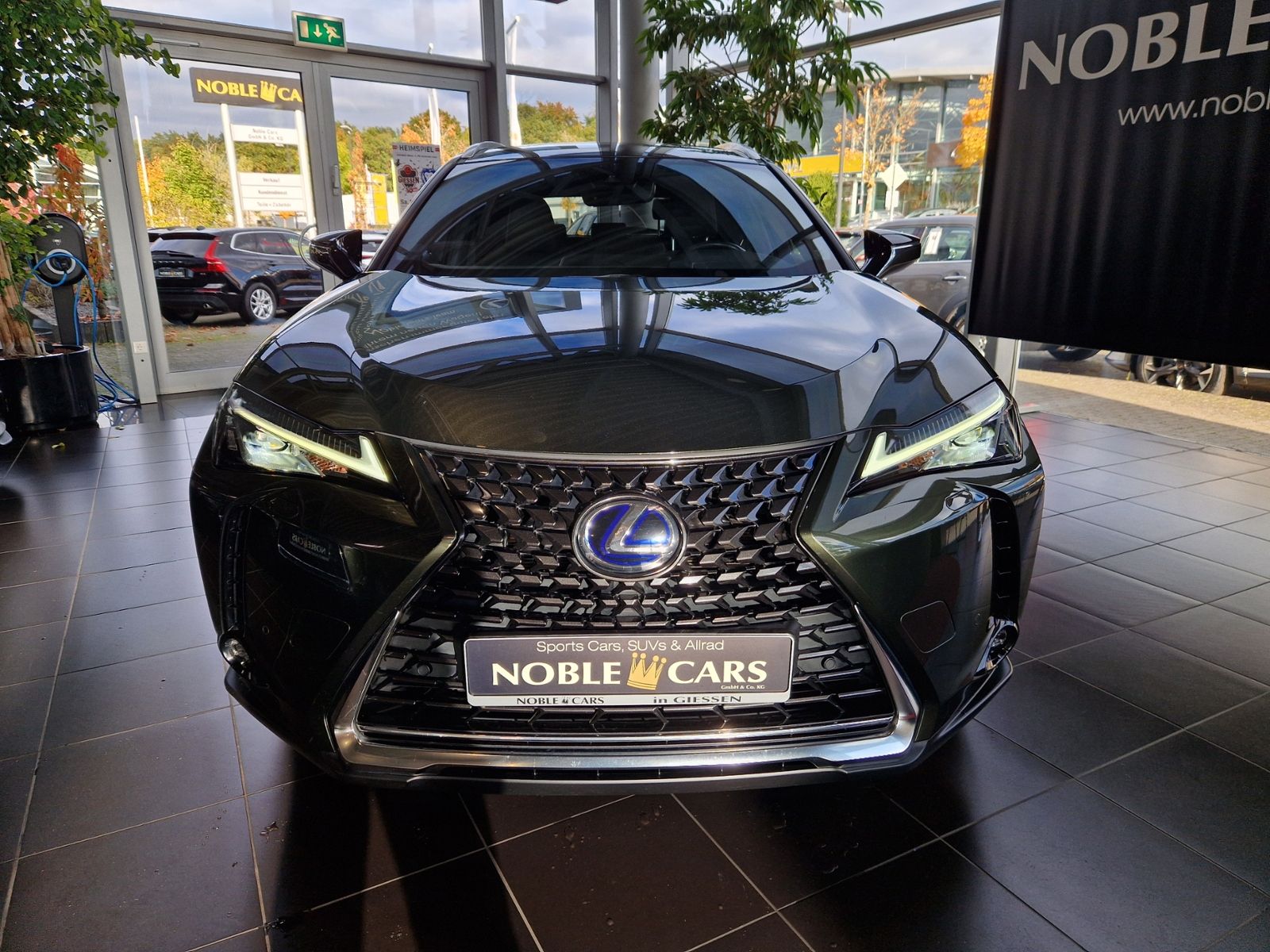 Fahrzeugabbildung Lexus UX 250 h Style LED ALU