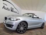 BMW 218 Advantage Cabrio LED Leder PDC Sportlenkrad - BMW: Sportlenkrad