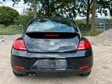 Volkswagen Beetle Lim. 1.4 TSI Fender Edition Sitzheizung - VW Beetle Unfallwagen