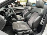 Audi A5 2.0 TDI S-Line Sport Selection Bi-Xenon Navi - Audi A5: TDI