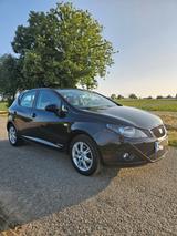 Seat Ibiza 1.4 16V Style Copa - Seat Ibiza aus 2011: Style Copa
