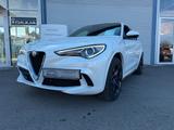 Alfa Romeo Stelvio 2.9 V6 Bi-T. 375kW Quadrifoglio AT8-Q4 - Alfa Romeo Stelvio: Quadrifoglio