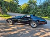 Corvette C3 Stingray Targa 5,7 Liter  - Corvette C3: Stingray