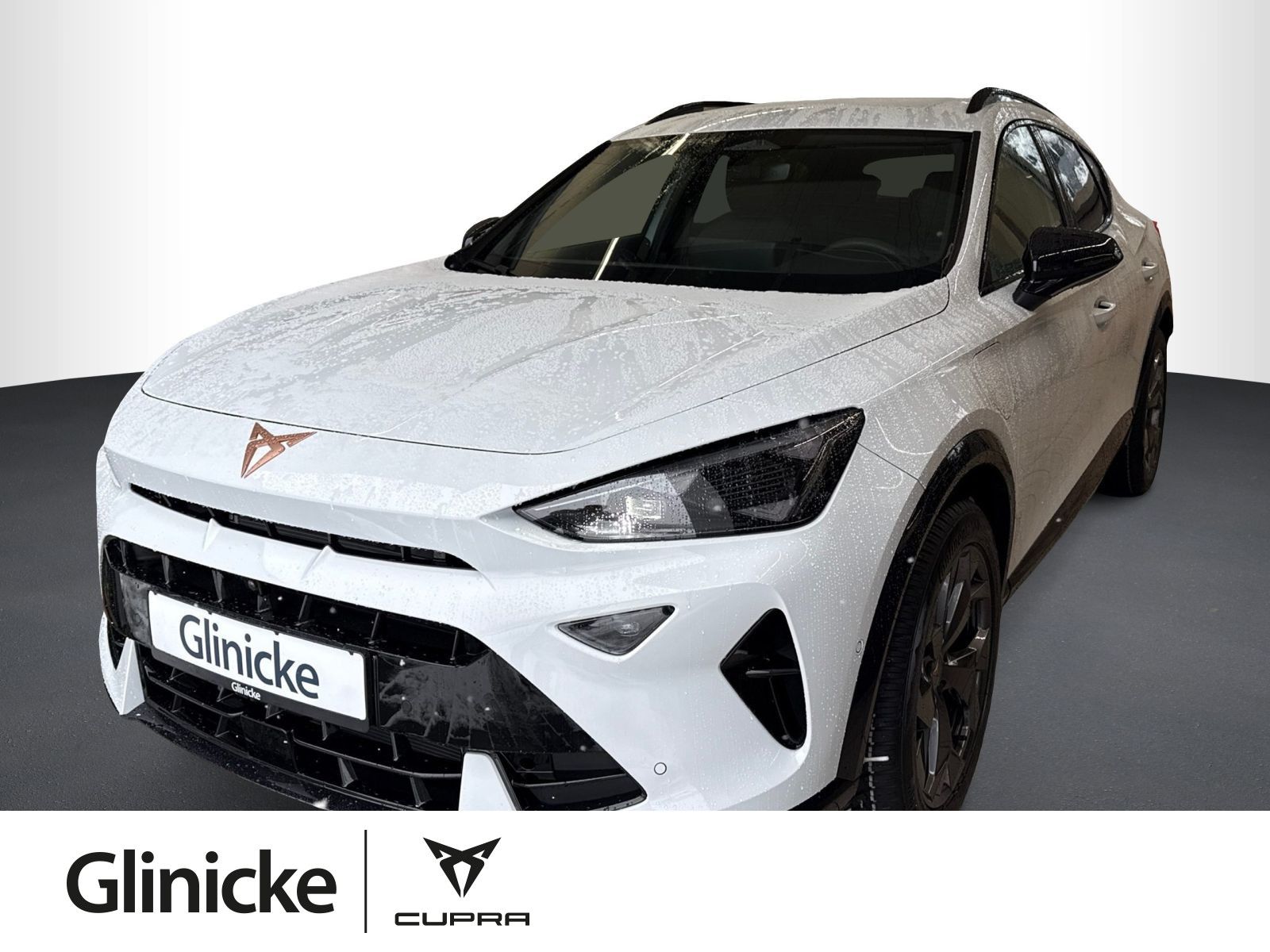 Cupra Formentor 1.5 e-HYBRID, AHK, SHZ, Ganzjahresreif