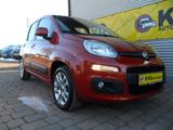 Fiat Panda Lounge Cross automatik - Fiat Panda mit Benzin-Antrieb: Kleinwagen, Automatik