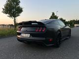 Ford Mustang GT 5.0 V8 / Shelby Optik / Top /21 Zoll  - Ford Mustang Gebrauchtwagen in Köln