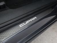 Cupra Terramar - Vorschau Bild 19