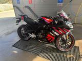 Aprilia RS 125 GP Replica  - APRILIA RS 125 REPLICA