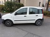 Fiat Panda - Fiat Panda Gebrauchtwagen in Frankfurt