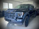 Ford F 150/3.5/V6/4X4/PLATINUM - Ford F 150: 4.6