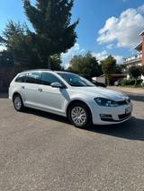 Volkswagen Golf Variant 1.6 TDI Trendline - Volkswagen Golf: Variant Trendline