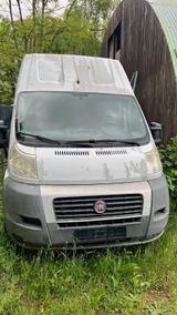 Fiat  Fiat Ducato 2010 Hochdach  Sehr guter Zu... - Fiat Ducato: Hochdach