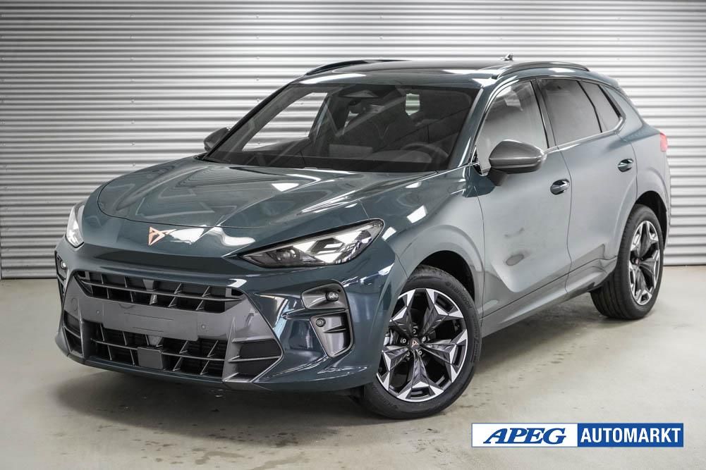 Image of Cupra Terramar