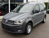 Volkswagen Caddy Nfz Kasten BMT - VW Caddy Gebrauchtwagen in Hamm