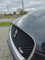 Jaguar - XF 3.0 L V6 Diesel S Sportbrake - - Jaguar: Unfallwagen