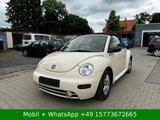 Volkswagen New Beetle Cabriolet 1.6 Benziner Highline - Volkswagen New Beetle: Beige