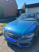 Audi AUDI A5 - Cabrio - Audi A5 aus 2009: Cabrio