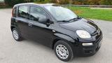 Fiat Panda Easy 1,2 / Klima / Euro 6 / TÜV 2027 - Fiat Panda: 2t