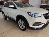 Opel Grandland (X)* PDC*Panorama-Dach* - mit Benzin-Antrieb: Weiß, Geländewagen, Panorama Dach