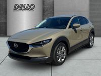 Mazda CX-30 - Vorschau Bild 1