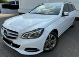 Mercedes-Benz E 220 BlueTEC T BlueEFF. Edition Autom. Edition - Mercedes-Benz E 220 in Mannheim