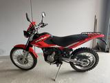 Beta Alp 4.0 - BETA MOTORRAD