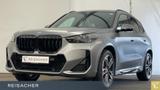 BMW X1 sDrive20i Sportpaket Autom. Parksystem DAB  