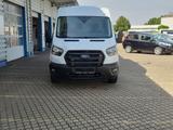 Ford Transit 350 L3H2 Lkw VA Trend *ACC*AppLink* - Tageszulassungen mit Diesel-Antrieb: Kleinbus