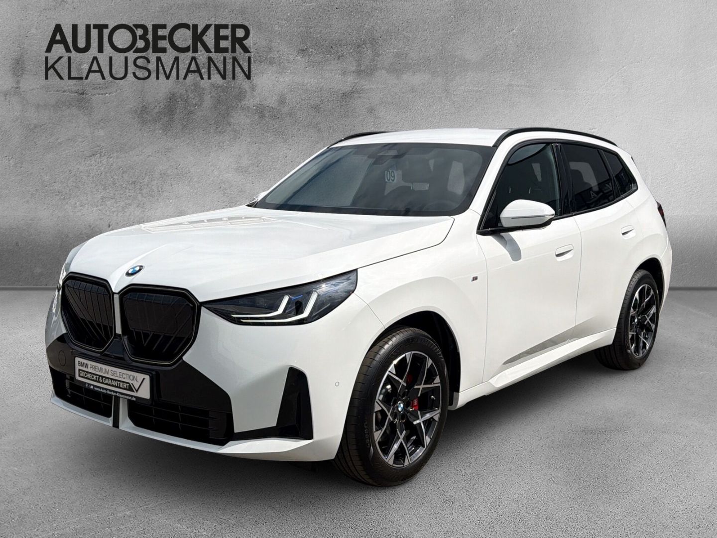 BMW X3 20d xDrive M SPORT PRO 19'' AHK MEMORY PARK foto 1