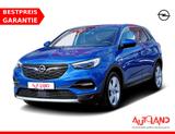 Opel Grandland X 1.2 Innovation LED Navi Teilleder - Opel Grandland (X): Innovation
