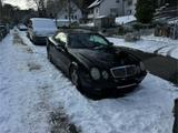 Mercedes-Benz CLK 230 Kompressor Cabriolet - gut - Mercedes-Benz 230: Kompressor