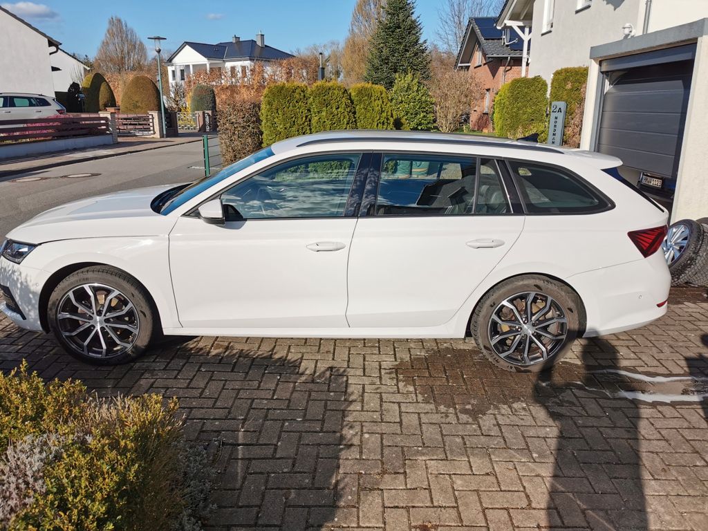 Image of Skoda Octavia