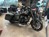 Indian Springfield Dark Horse *sofort verfügbar* - INDIAN HORSE DARK SPRINGFIELD