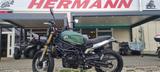 Benelli Leoncino 800 Trail - BENELLI LEONCINO 800 TRAIL