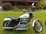 Harley-Davidson Sportster xlh 883 - HARLEY-DAVIDSON XLH 883 SPORTSTER