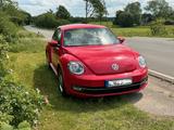 Volkswagen Beetle 1.2 TSI DSG Business Design Klima - Volkswagen Beetle: Rot