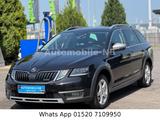 Skoda Octavia Combi Scout 4x4 Xenon LEDs Navi DSG Eur6 - Skoda Octavia: Eu Combi