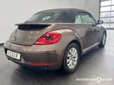 Volkswagen Beetle Cabriolet 1.6TDI 5-Gang Design BMT /Navi  - Volkswagen Beetle: TDI