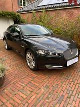 Jaguar XF 3.0 L V6 Kompressor AWD - - Jaguar Gebrauchtwagen in Hamburg