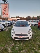 Fiat Punto 1.4 8V 5 porte Natural Power Easy - Fiat Punto EASY mit Benzin-Antrieb
