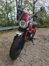 Honda Monkey 125 - Rot / 2022 - HONDA MONKEY