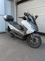 Honda Forza 125 - 6 Jahre Garantie - BENZIN ROLLER