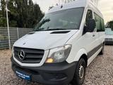 Mercedes-Benz SPRINTER KASTEN VOLLVERGLAST*AUTOMATK*129PS* - Mercedes-Benz Sprinter: Allradantrieb, Van