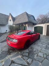 Ford Mustang 5.0 KW-V3, Frontkamera etc. - Ford Mustang Gebrauchtwagen in Duisburg