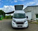 Knaus Wohnmobil Knaus Boxstar 540 Road 60 years 2023