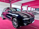 Porsche Cayenne Platinum Edition Pano Luft LED SportChro - Porsche Cayenne: Sport