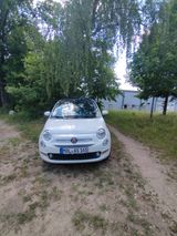 Fiat 500 1.2 8V SPORT SPORT - Fiat 500: Privatanbieter